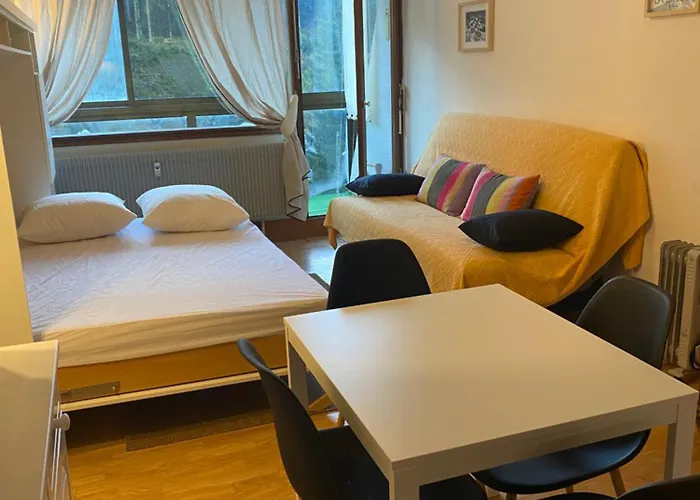 Les Cimes De Belle Hutte * La Bresse