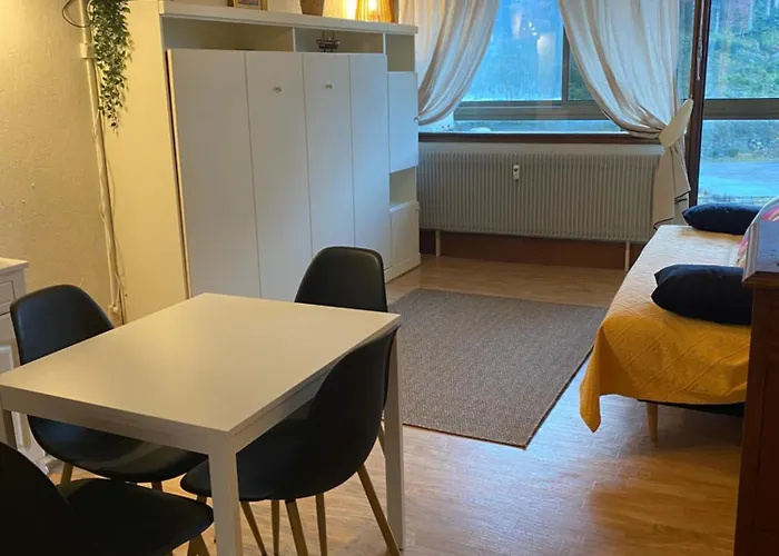 Les Cimes De Belle Hutte * La Bresse